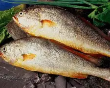 包含詹姆斯马德里竞技球迷热议的词条 包含詹姆斯马德里竞技球迷热议的词条